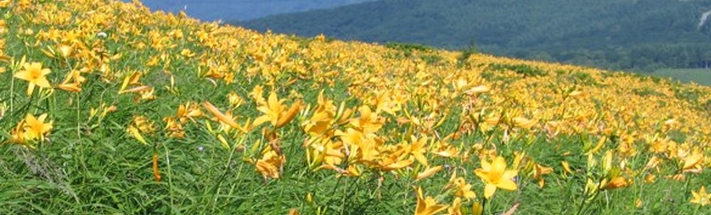 長野県環境保全研究所 自然環境部 Blue Ship